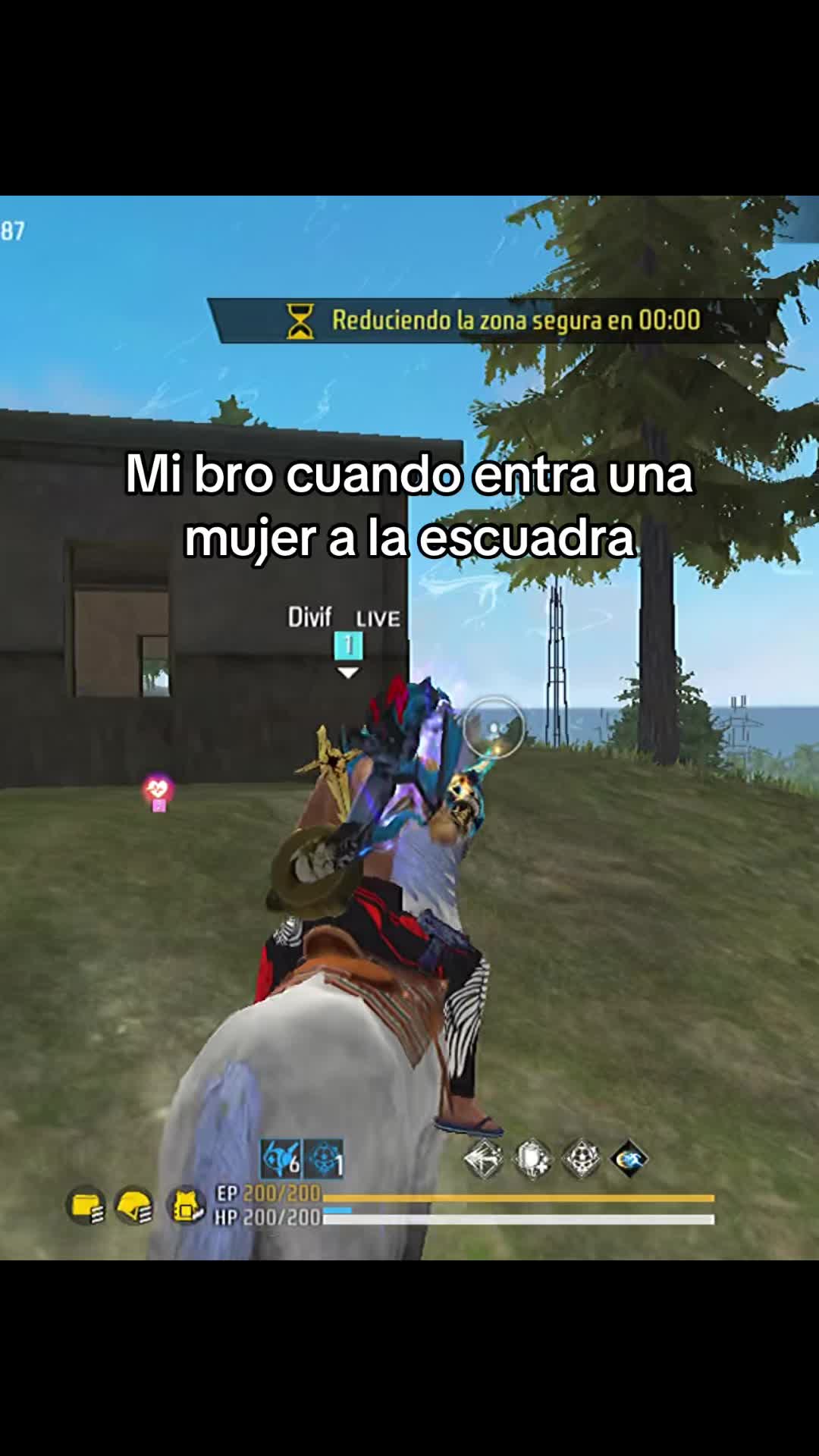 @divifff