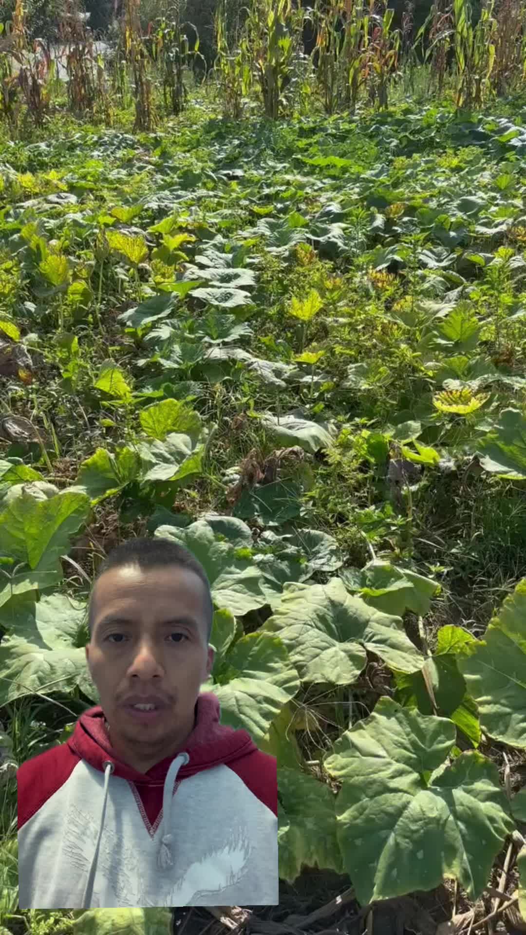 @Chicovisi&oacute;n TV