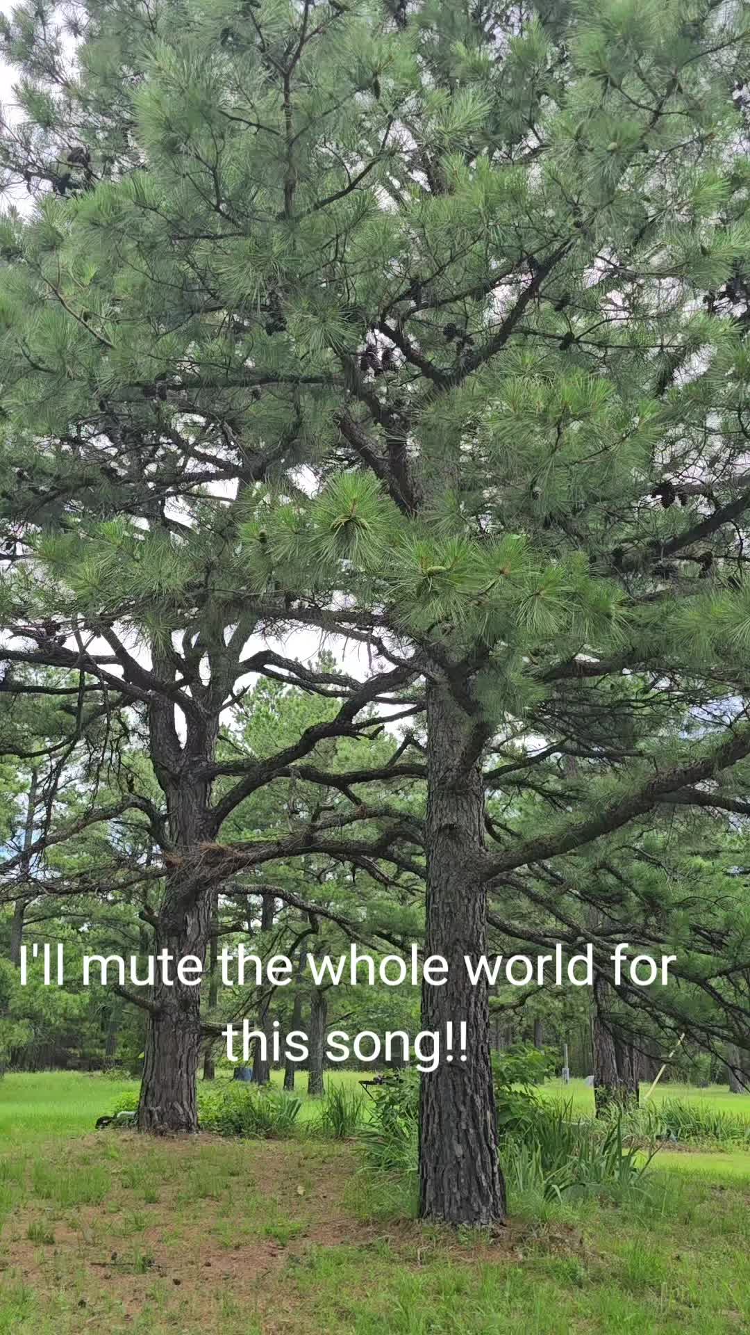 @Debbie