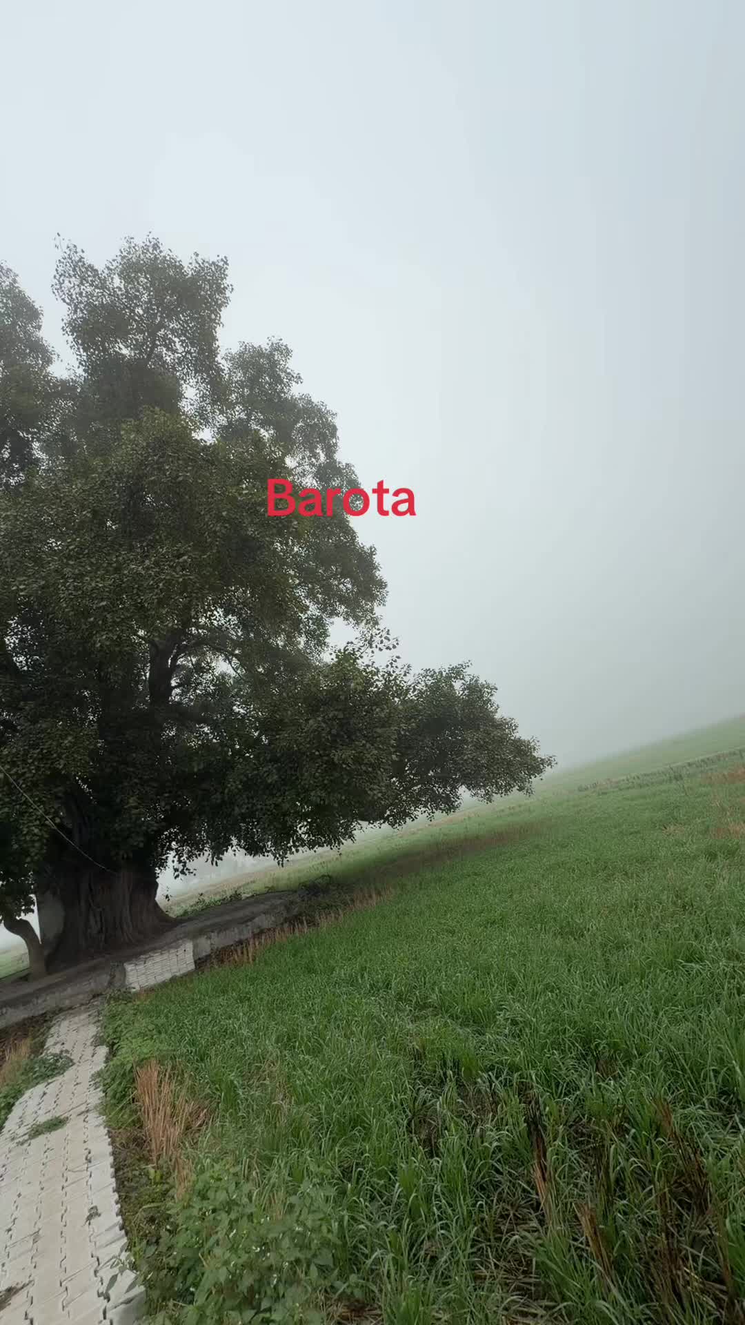 @brar