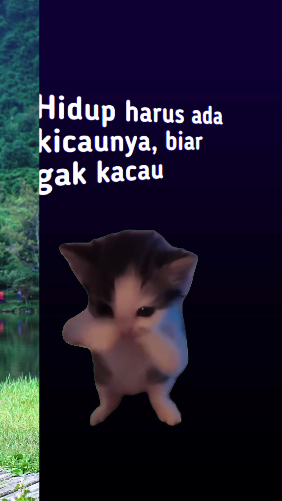 @Bang_aam0
