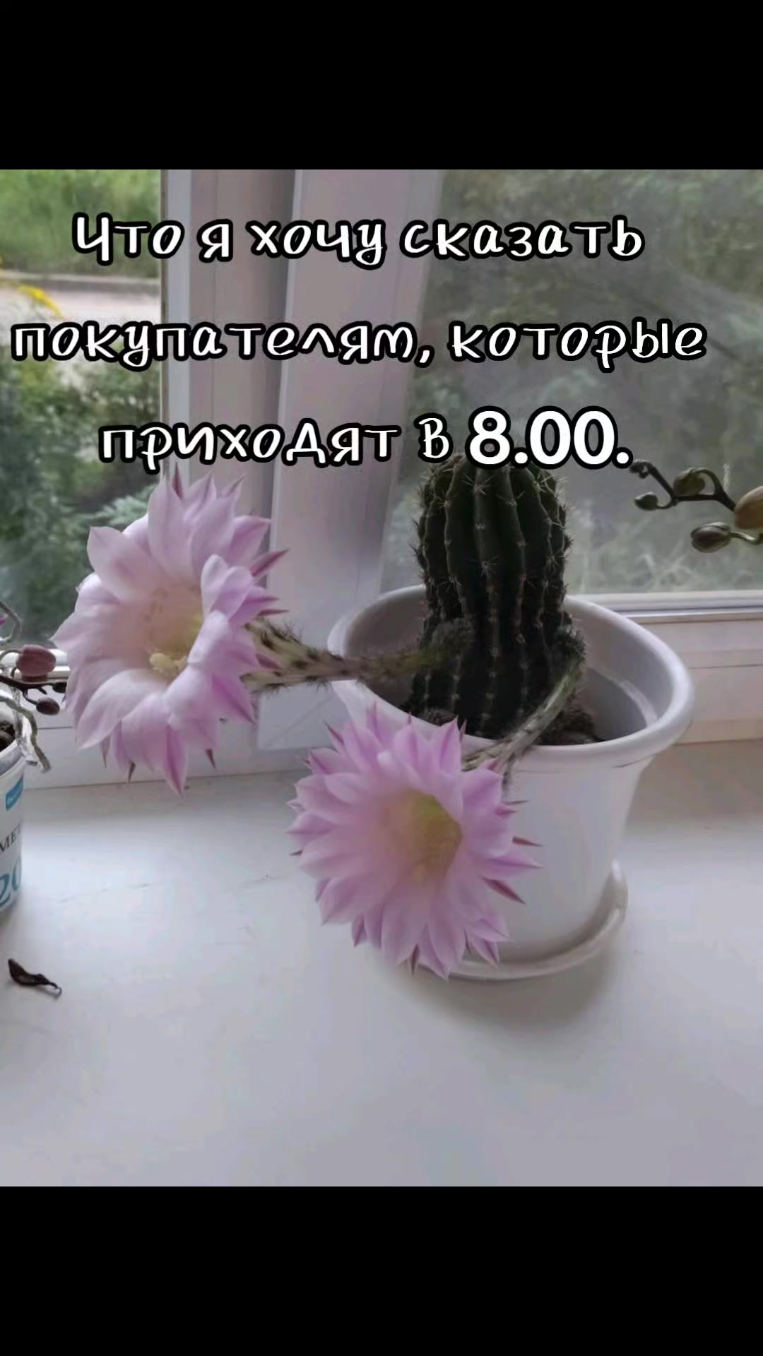 @olgayakovleva90