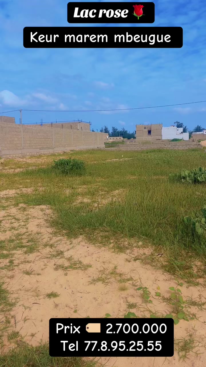 @S&eacute;n&eacute;gal dakar habitat 🇸🇳