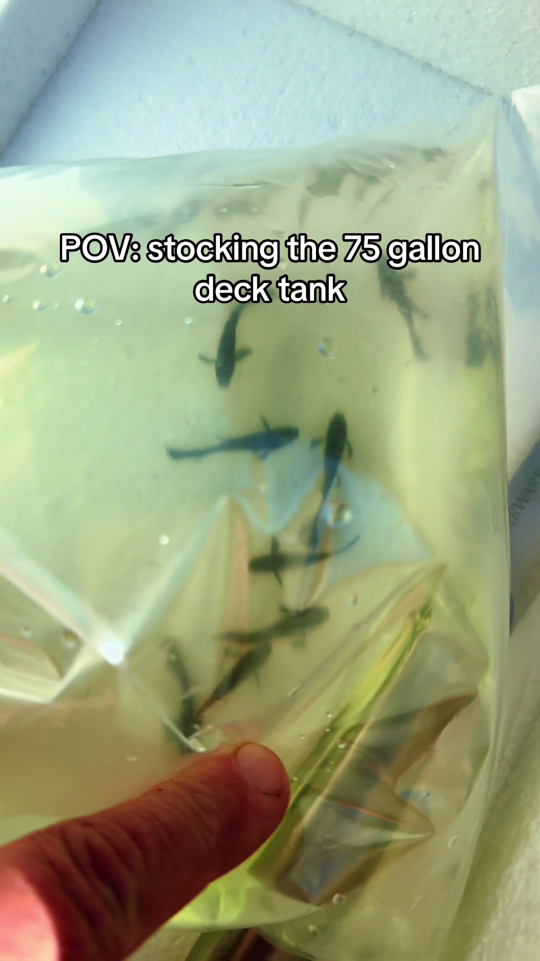 @Dads Fishroom