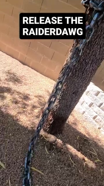 @SinCityRaider702