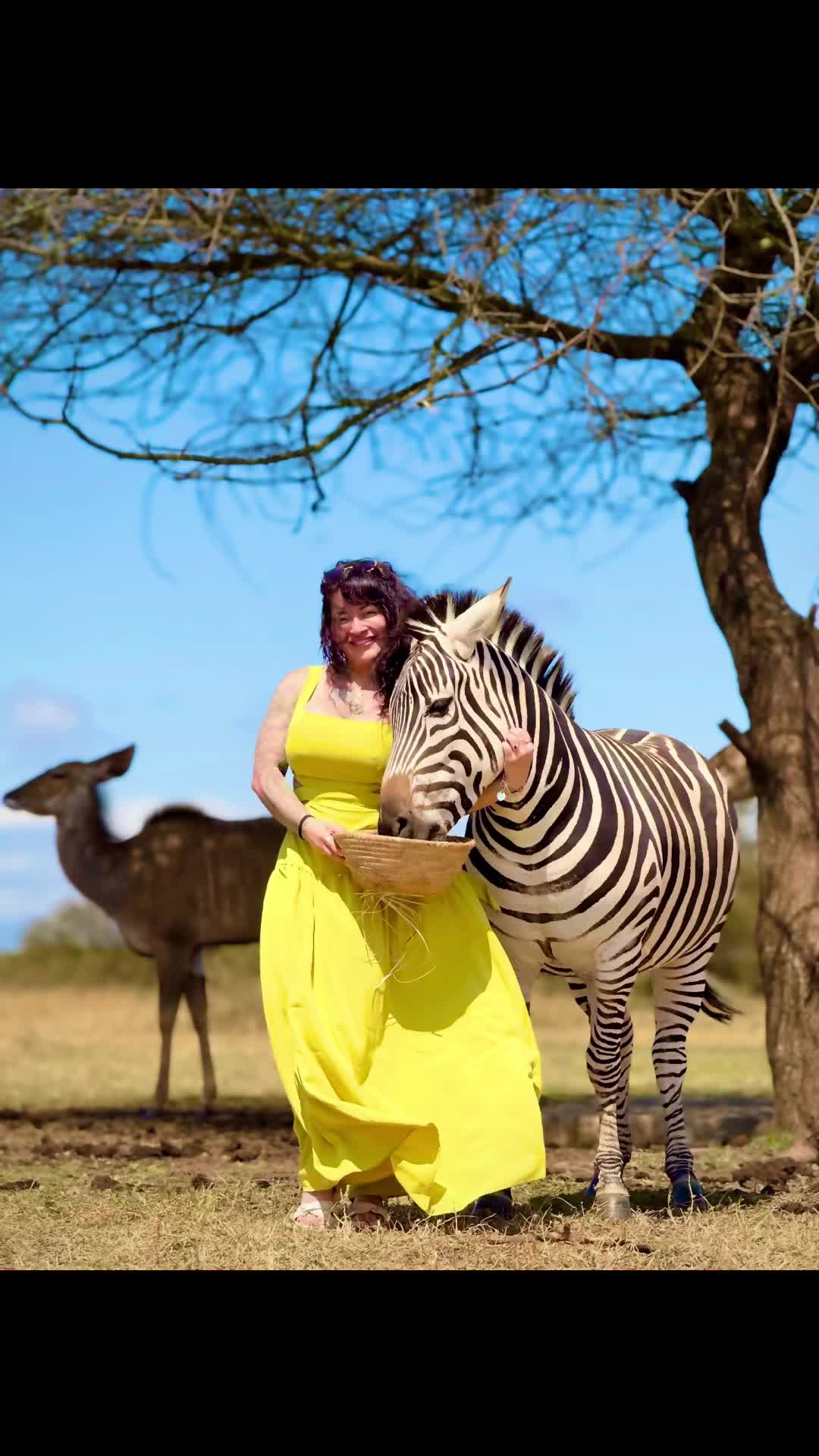 @Boltinkedgirl