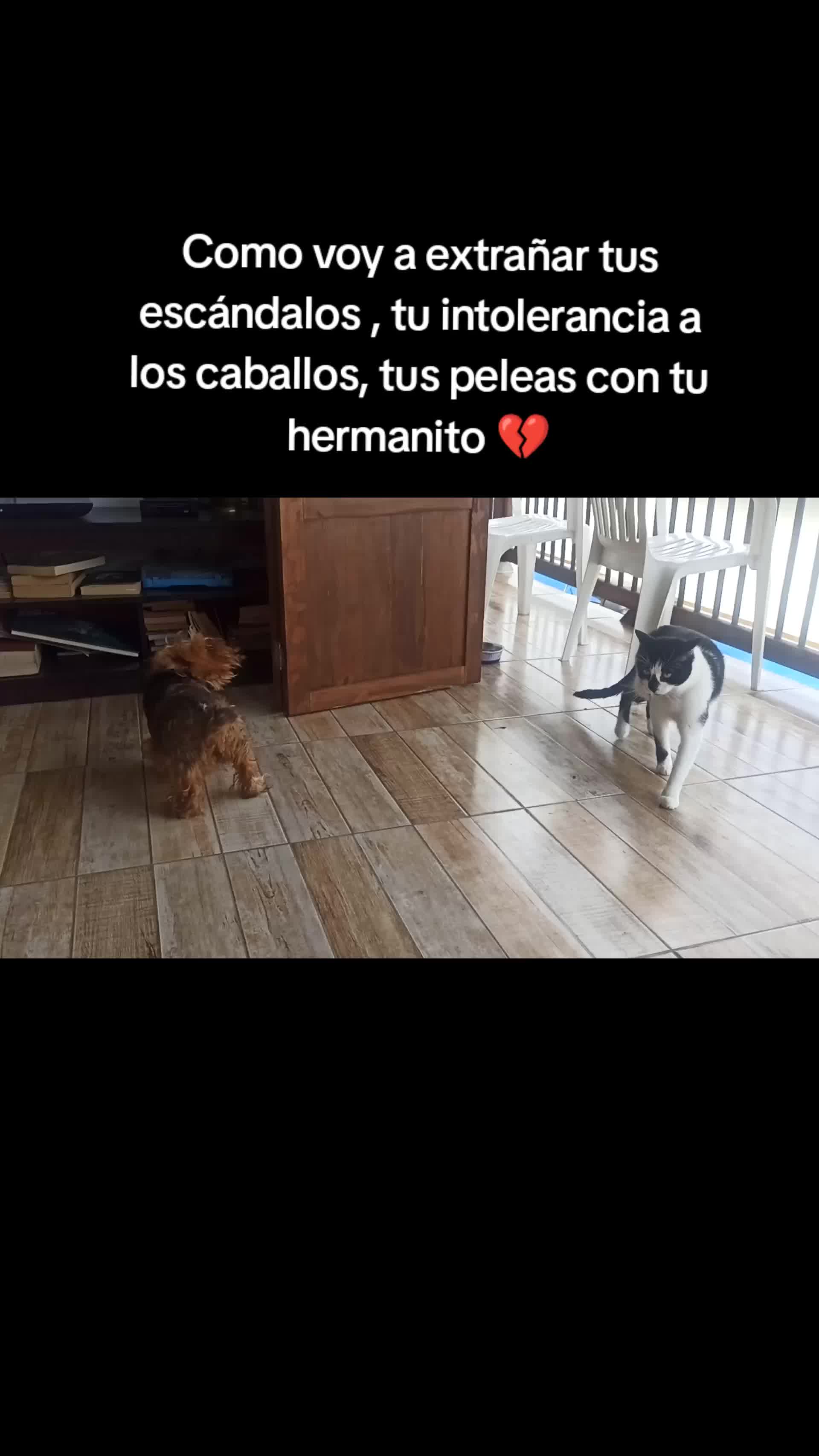 @Dianachavarios🌱