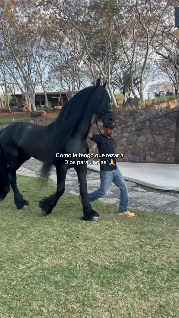 @Rancho el descanso GDL