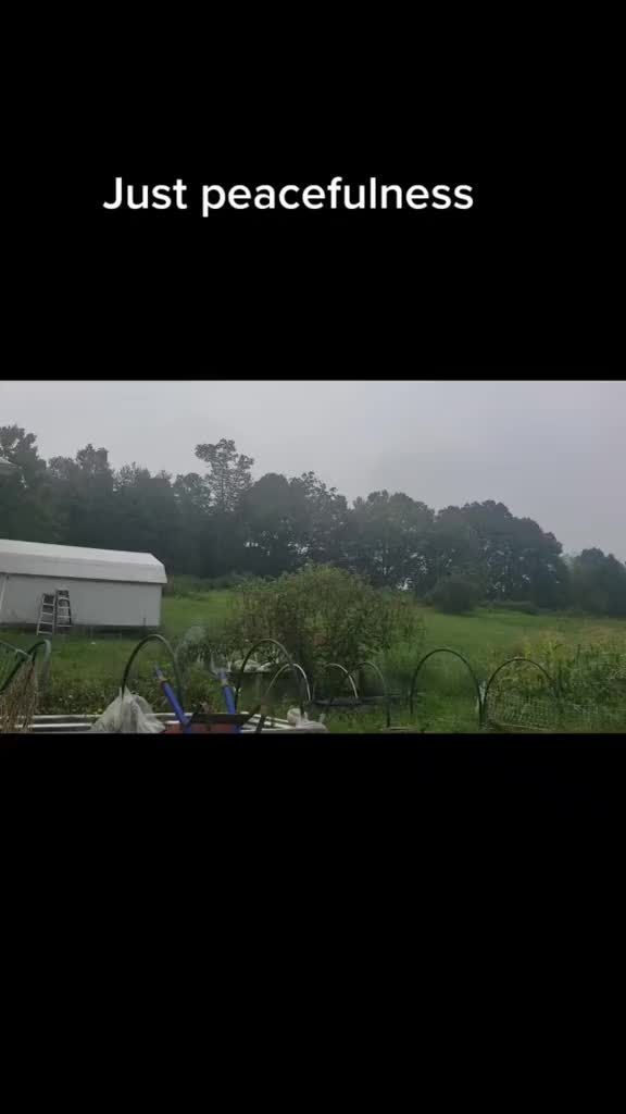 @AppalachianMntCrone
