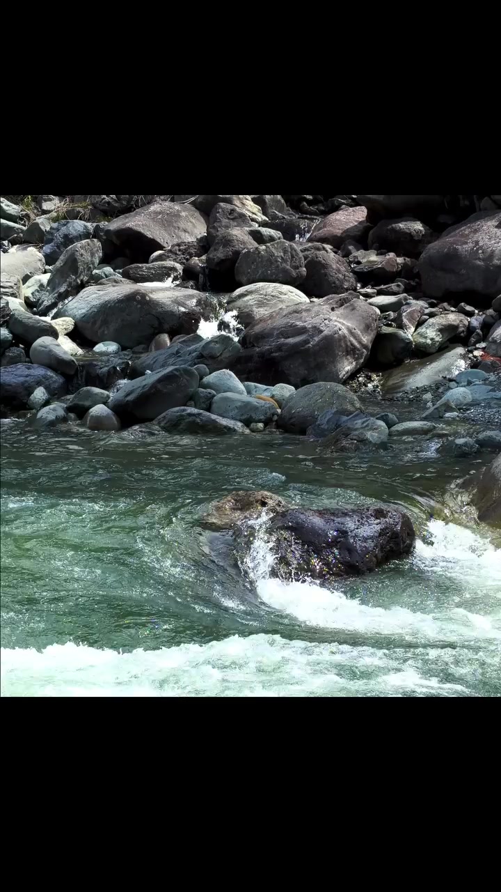 @md1_98