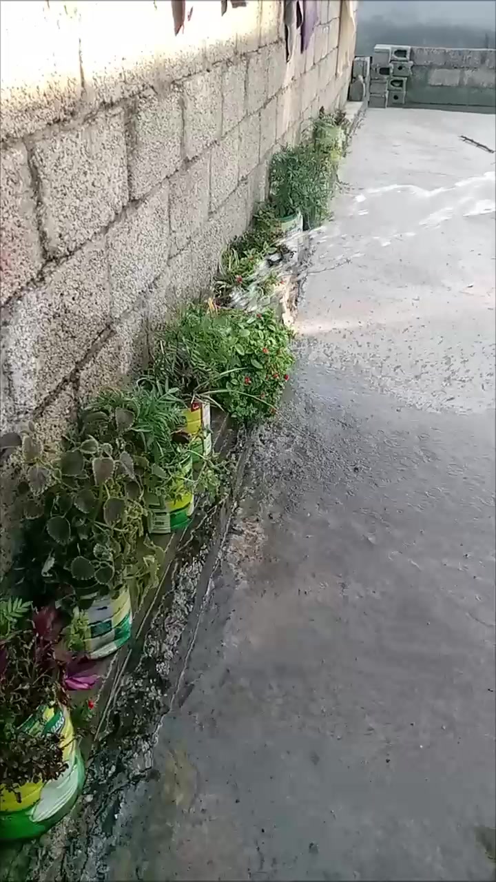 @mughlan di kuri