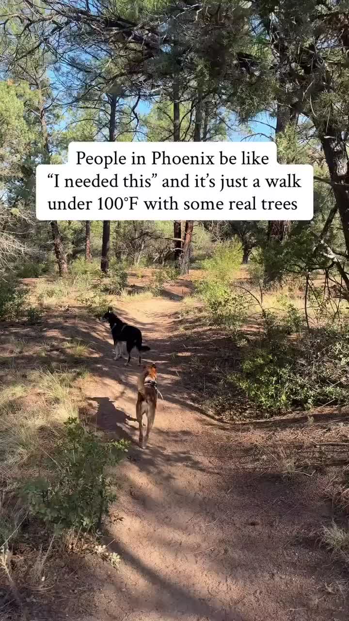 @Marissa | Kota & Aspen