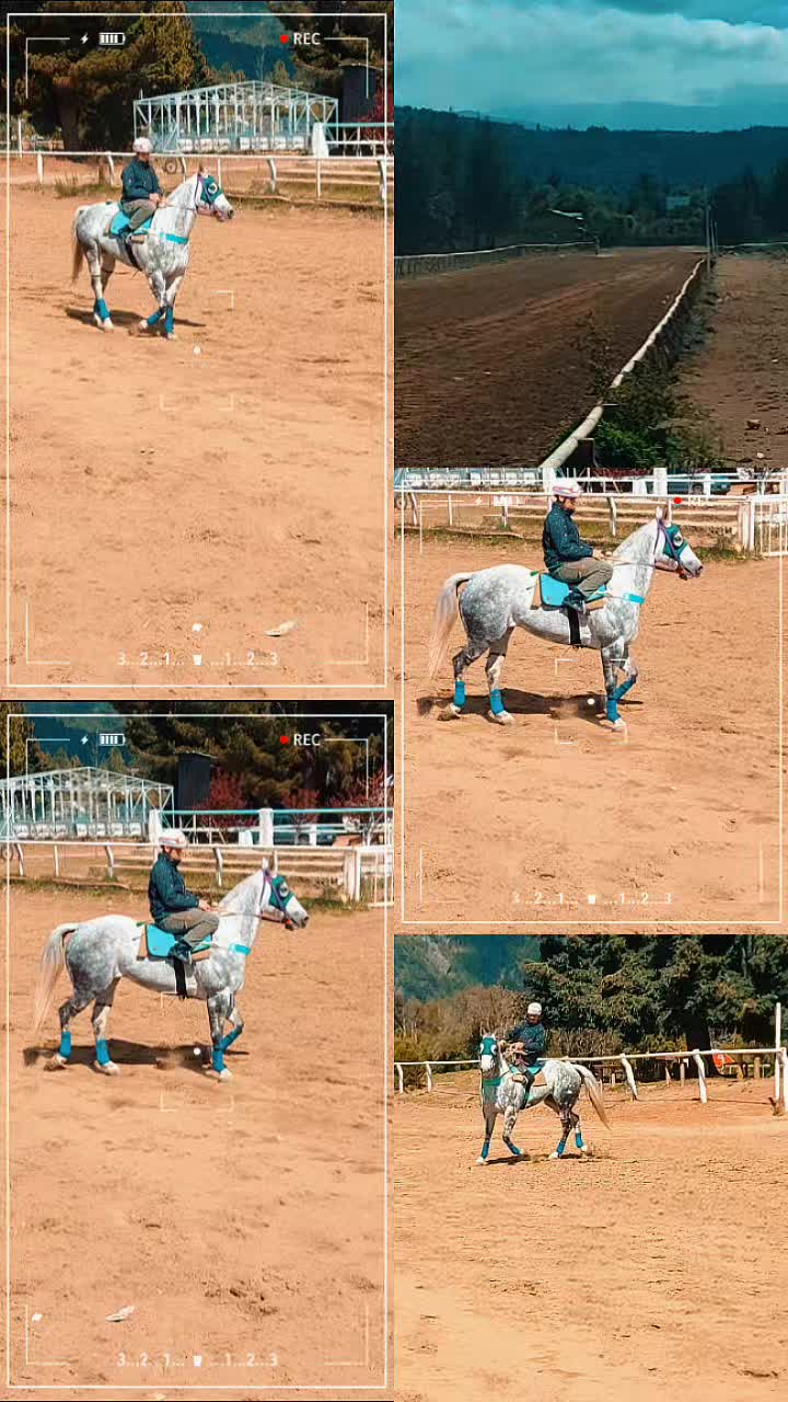 @Horacio Bahamonde