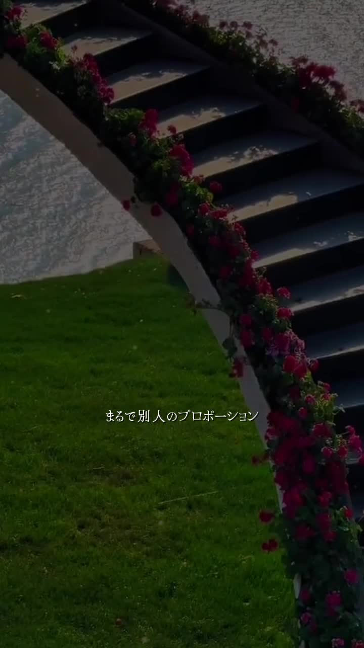@⚜️Shi_zu_ki⚜️