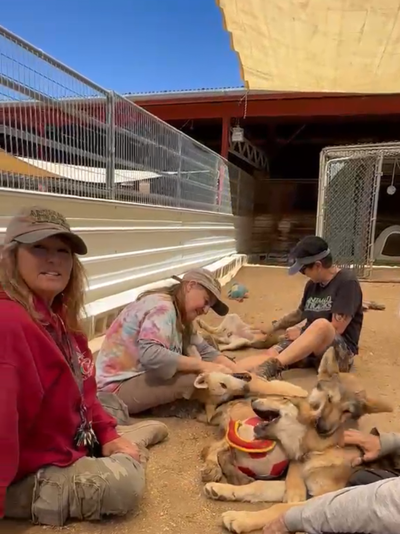@AnimalTracksInc