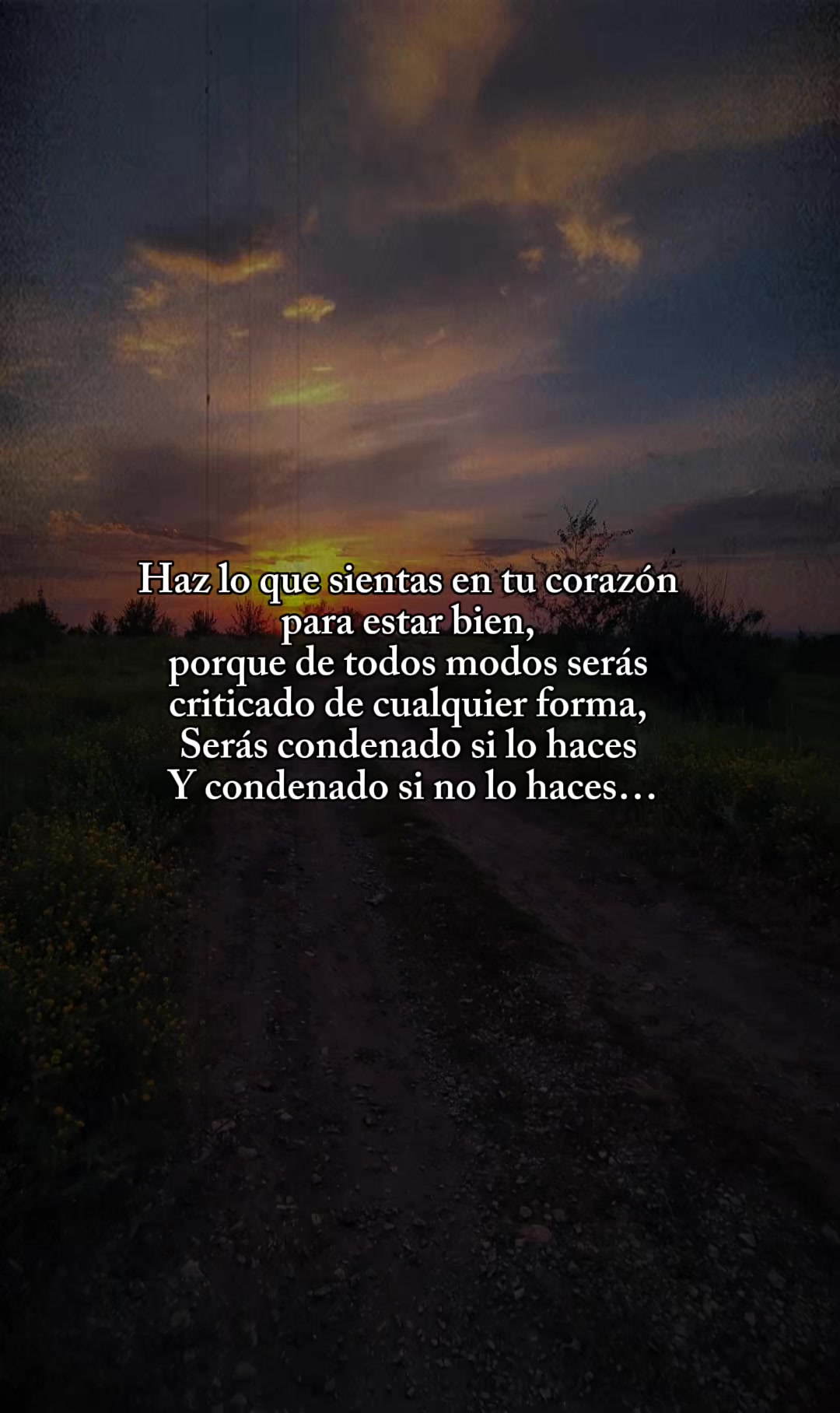@flaco_S17