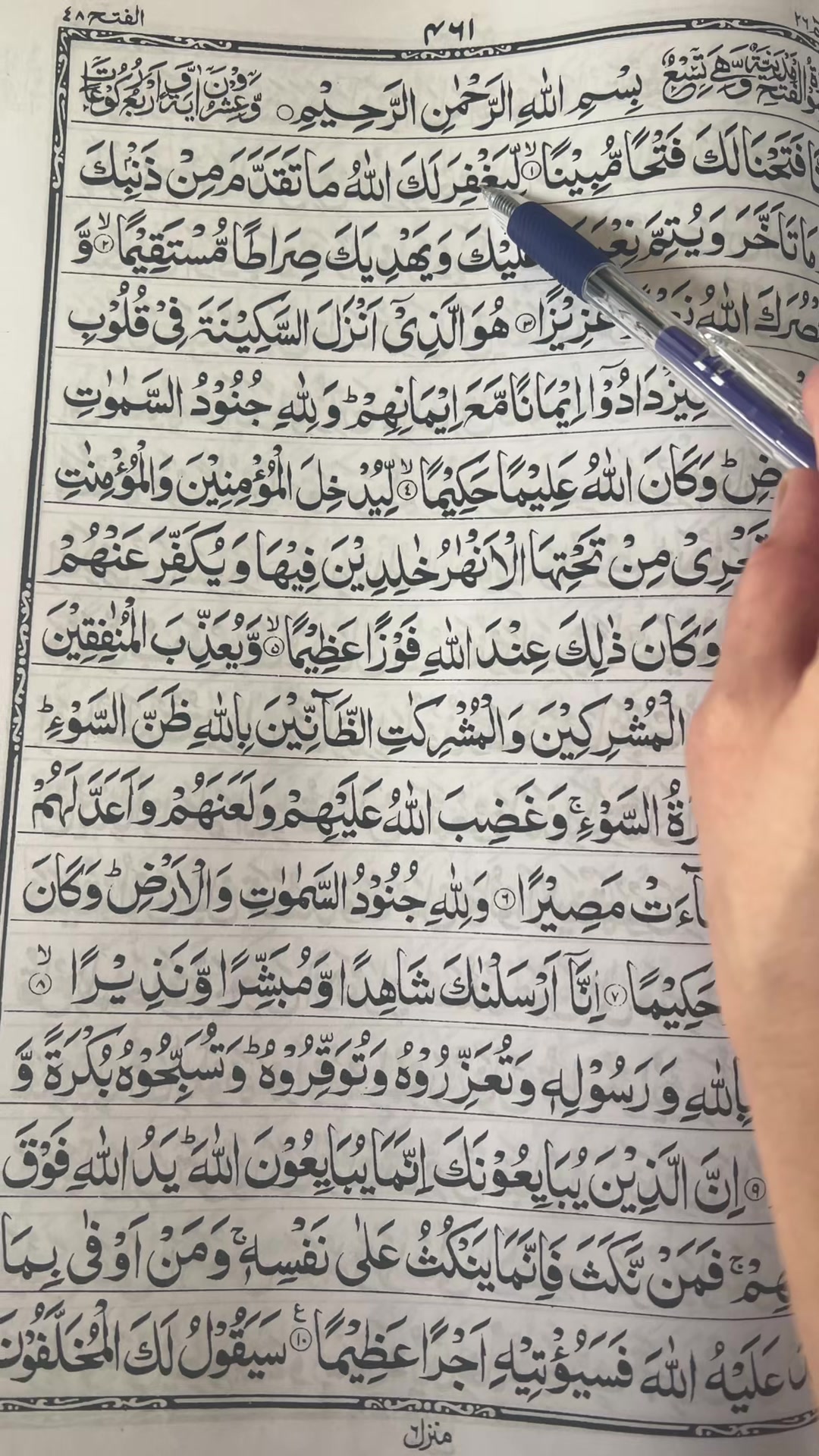 @habibausa1234