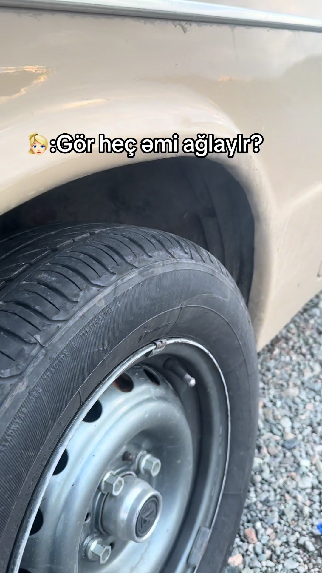 @Gusi_616