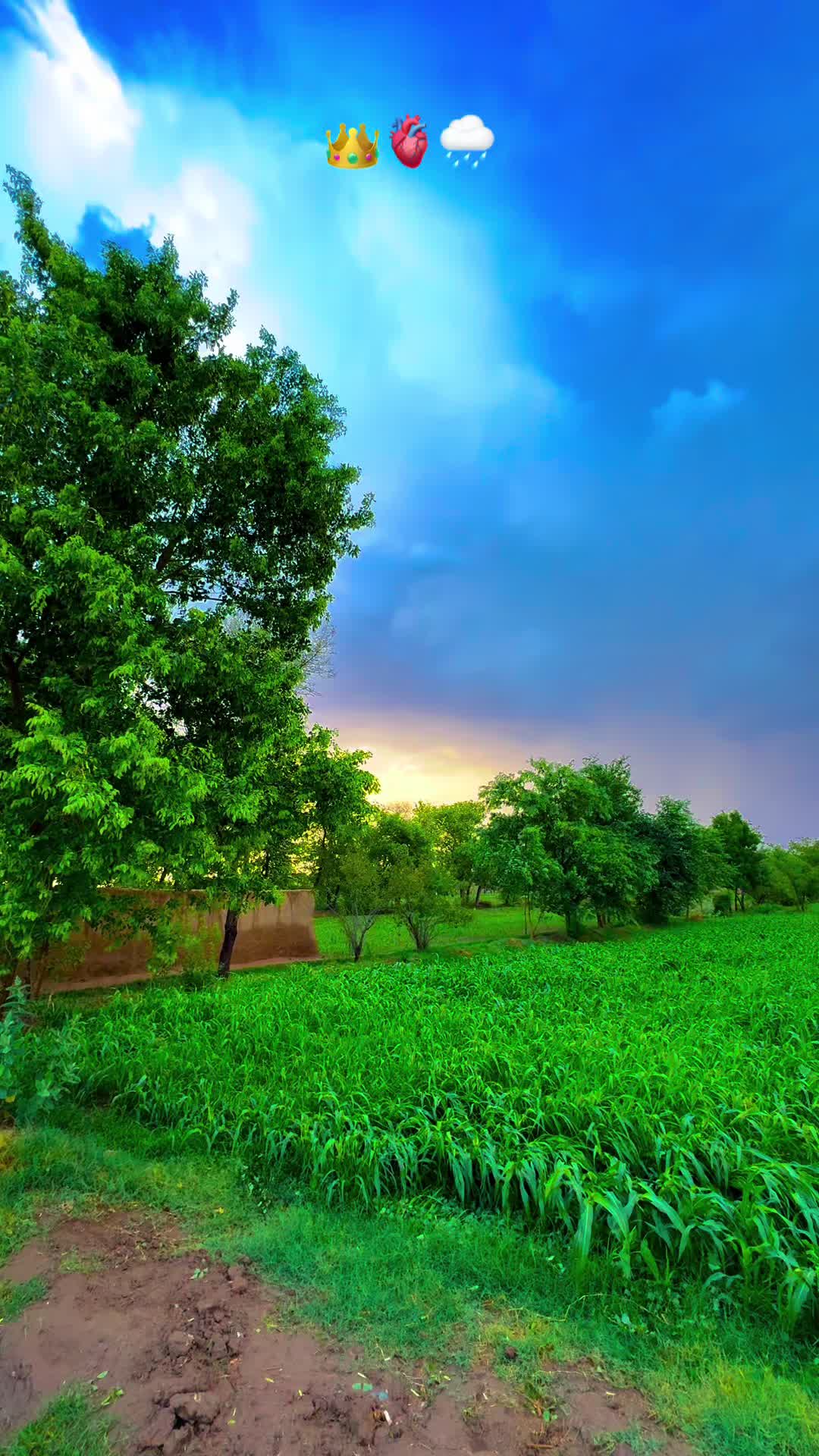 @پنجابی کلچر 🌾🍂