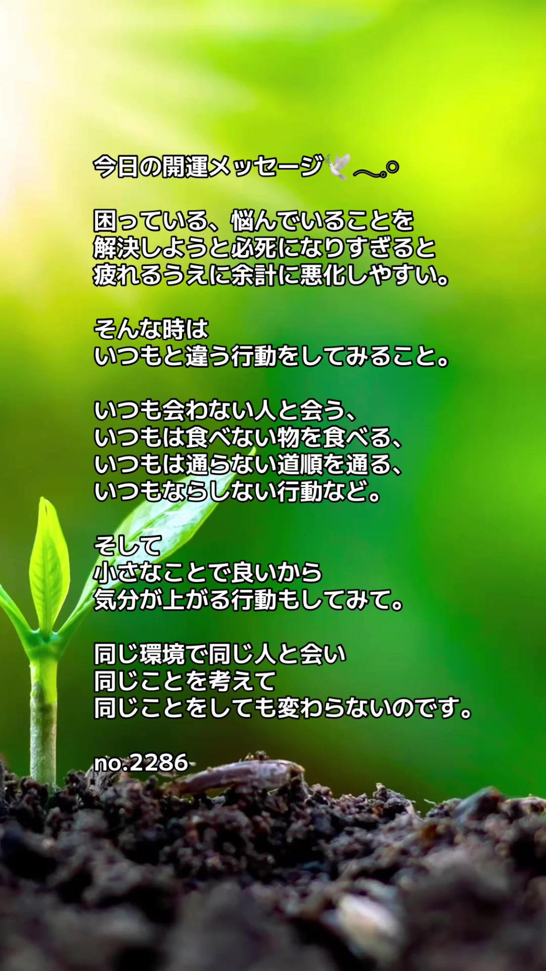 @あま姐さん🫧霊視ヒーラー