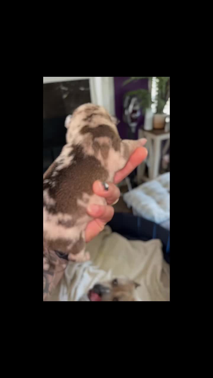 @K.Reese