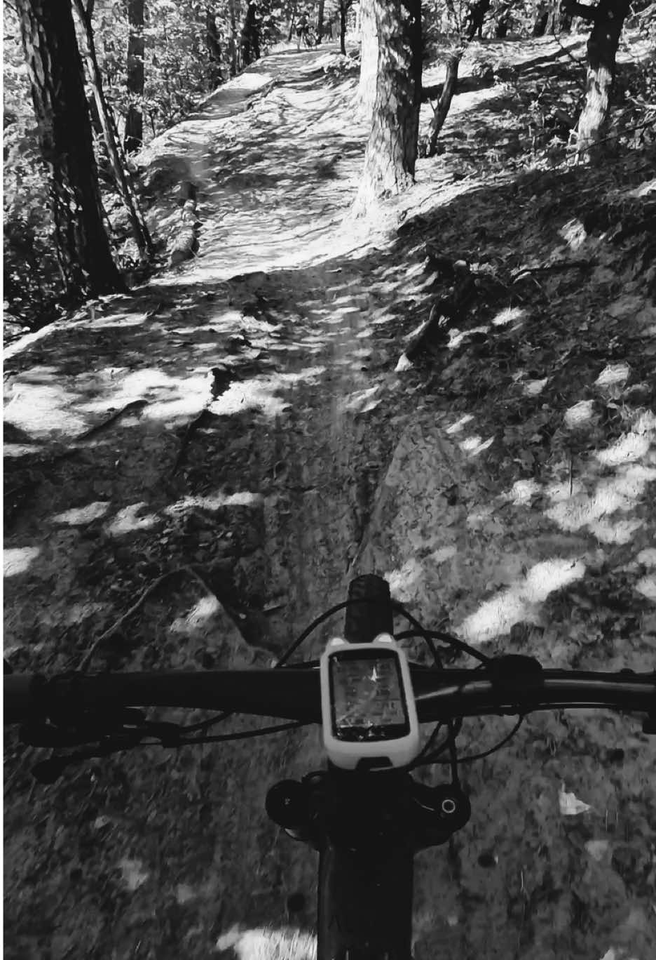 @Agnieszka Ignaszak bikejoring