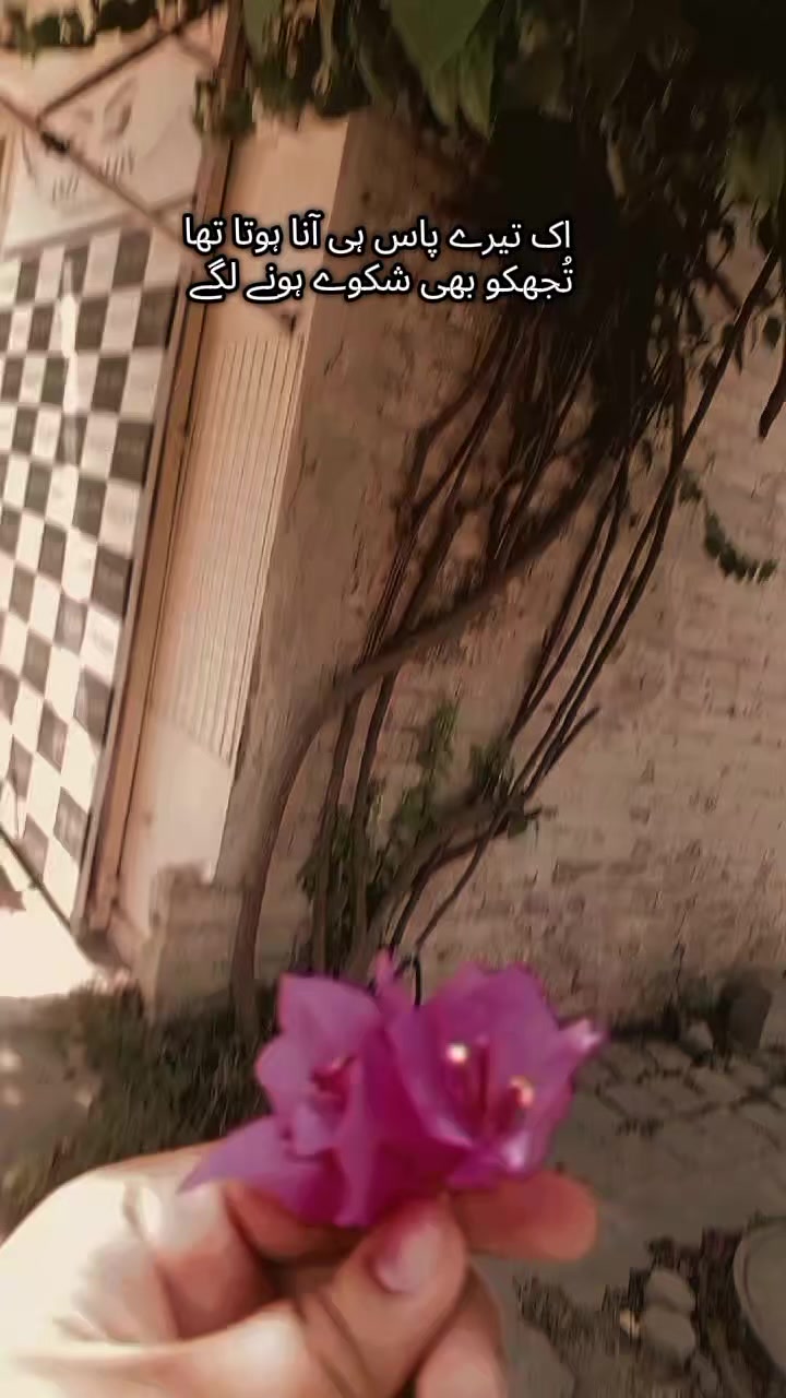 @🐾