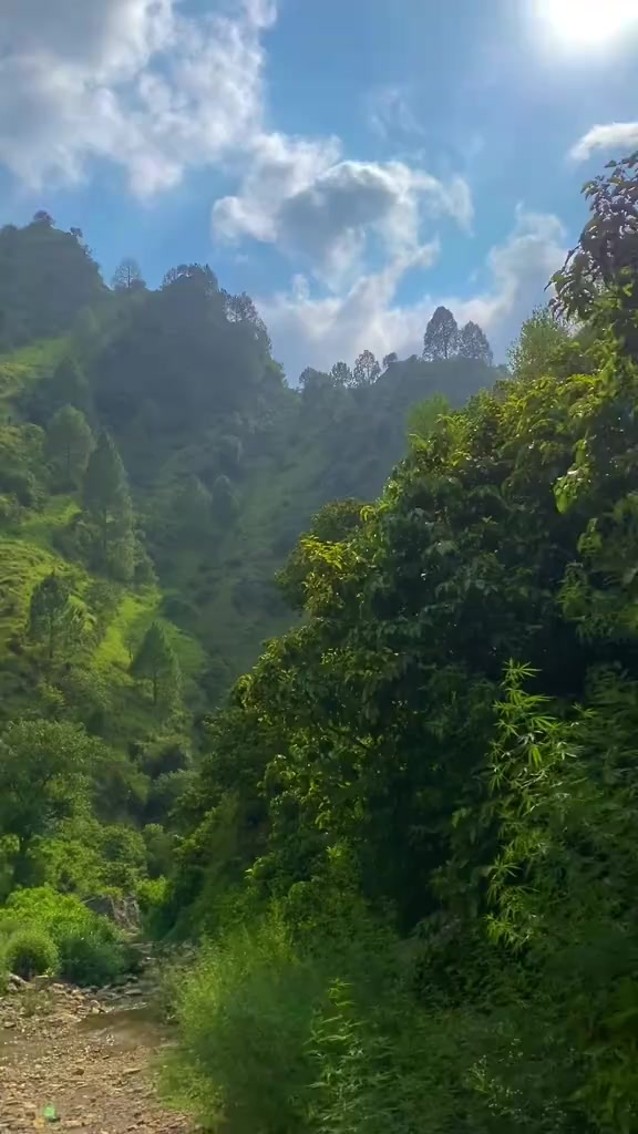 @𝓢𝓐𝓝𝓐𝓝✨🇦🇨
