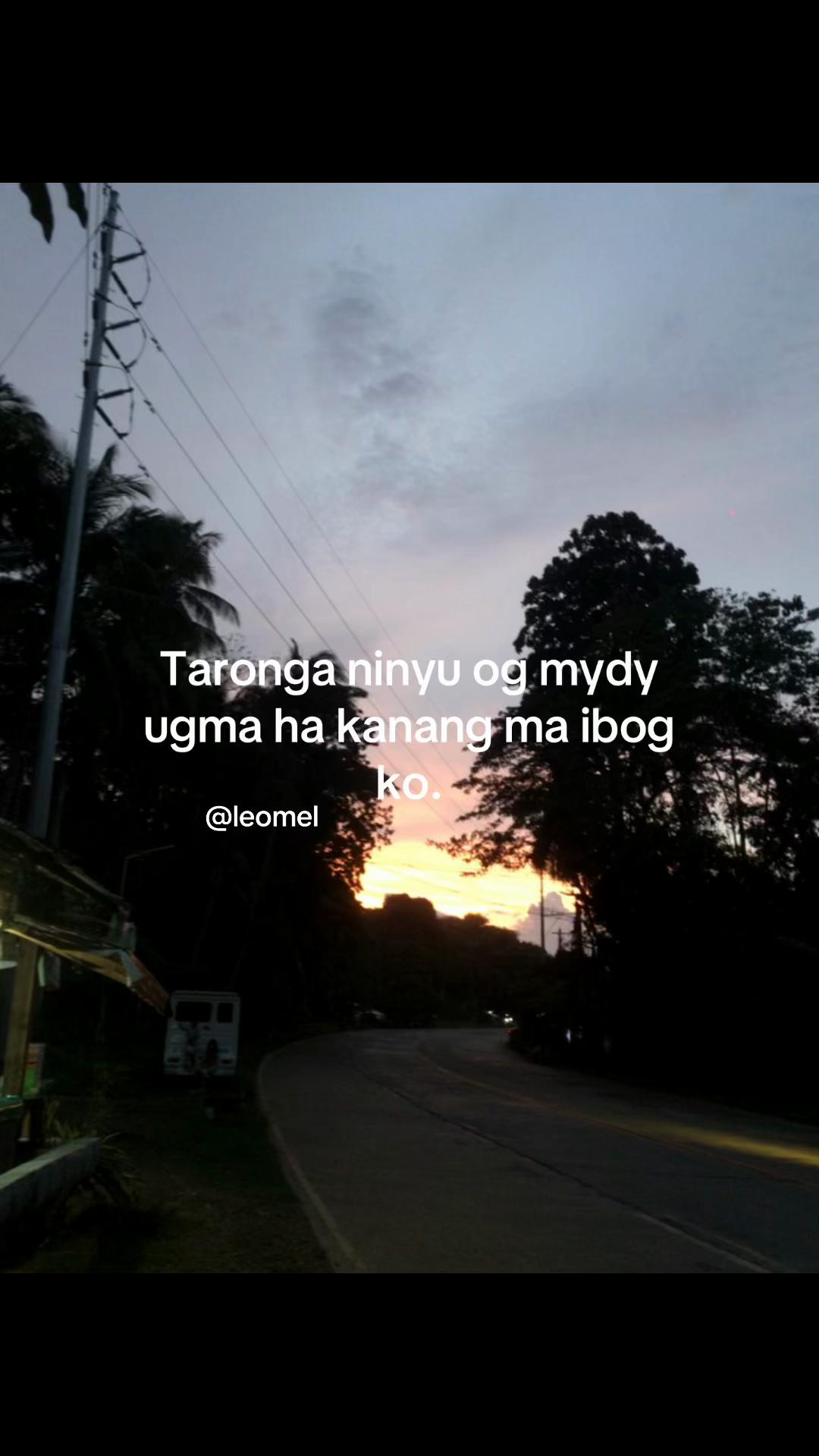 @leomel💤