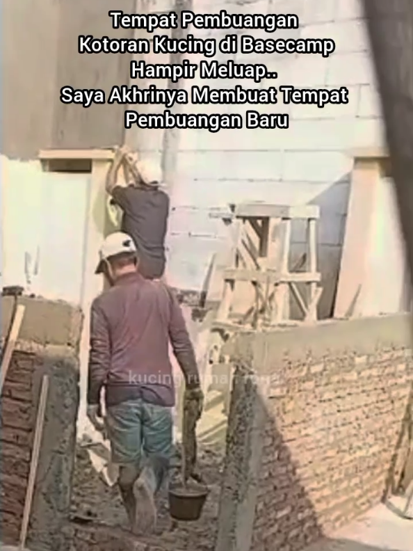 @Kucing Rumah Ronal