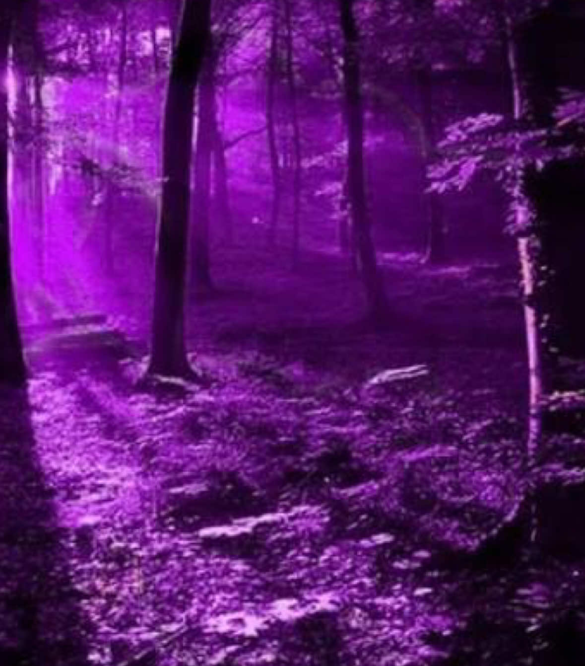 @Aly★𝒱𝒾𝓇𝑔𝒾𝓁’𝓈 𝓁𝑜𝓋𝑒𝓇