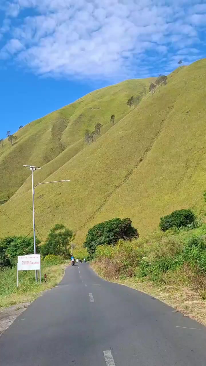 @Sintatarigan