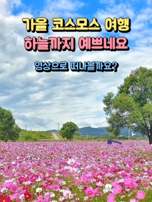 @예능대장