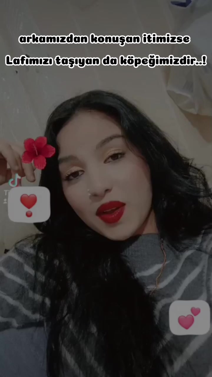@๐คโ๐๐ค๐๐๐ฆ๐ฃ๐