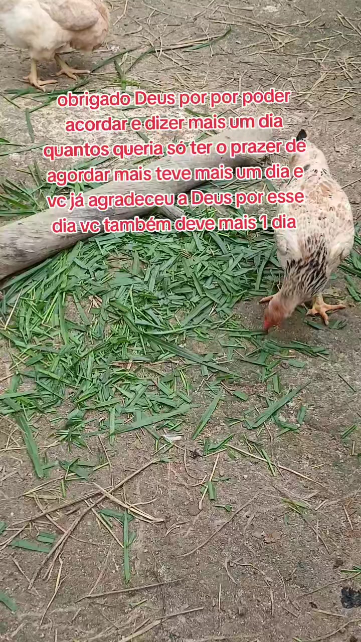 @ELIZEU Batista