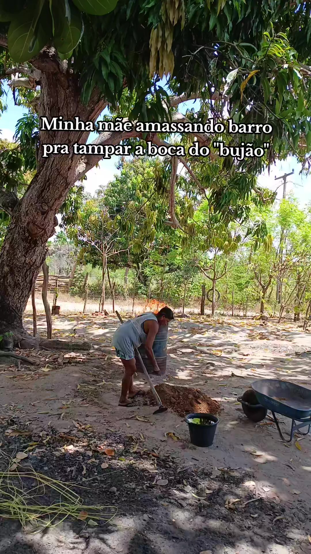 @Ana Viana_Oficial✅️