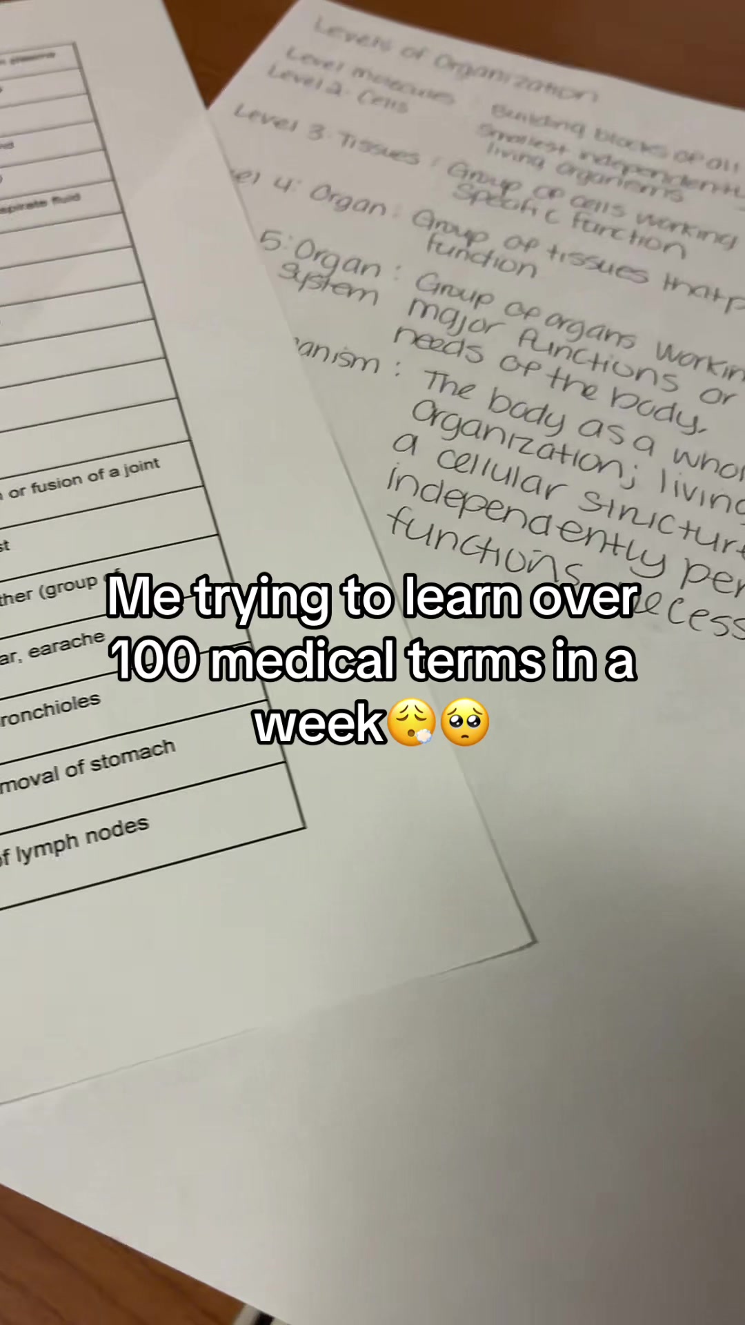 @tierrarene17