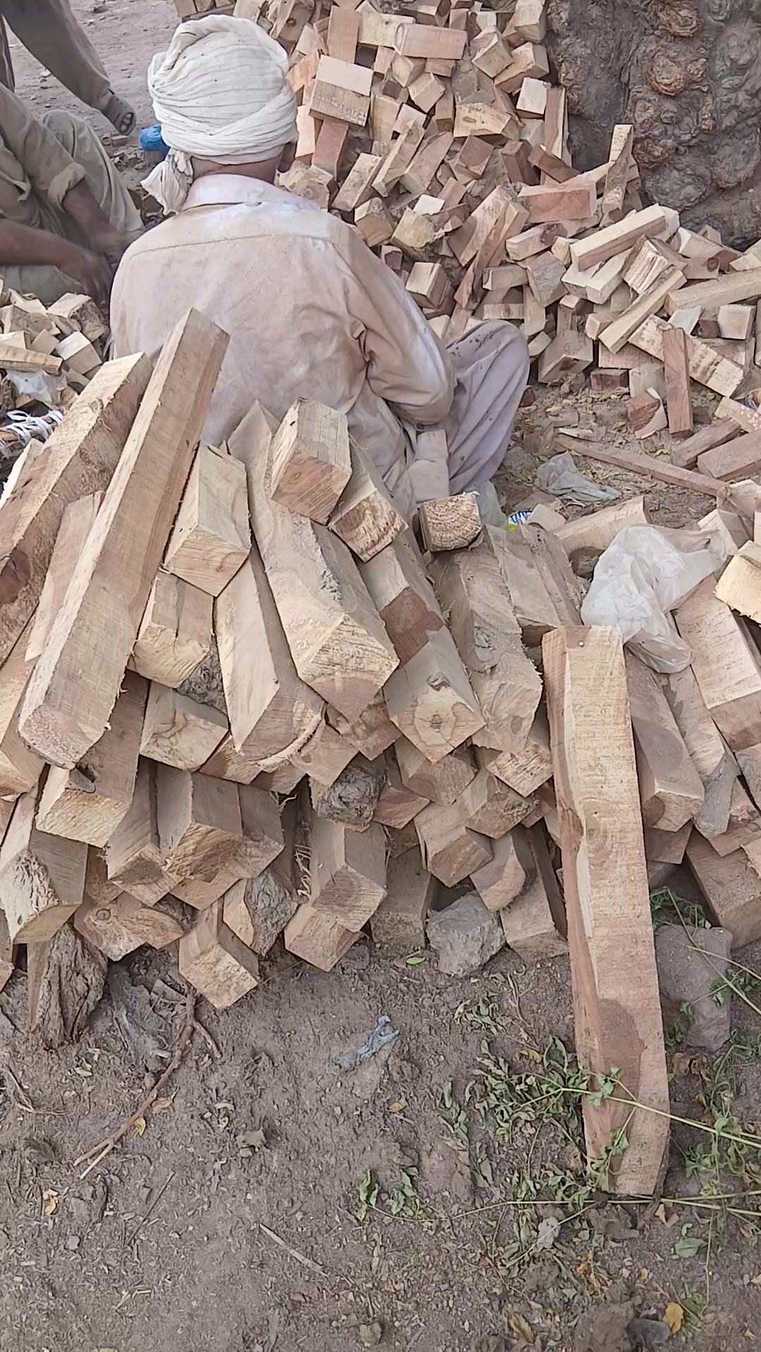@𝗠𝗨𝗟𝗧𝗔𝗡𝗜 𝗧𝗜𝗚𝗘𝗥