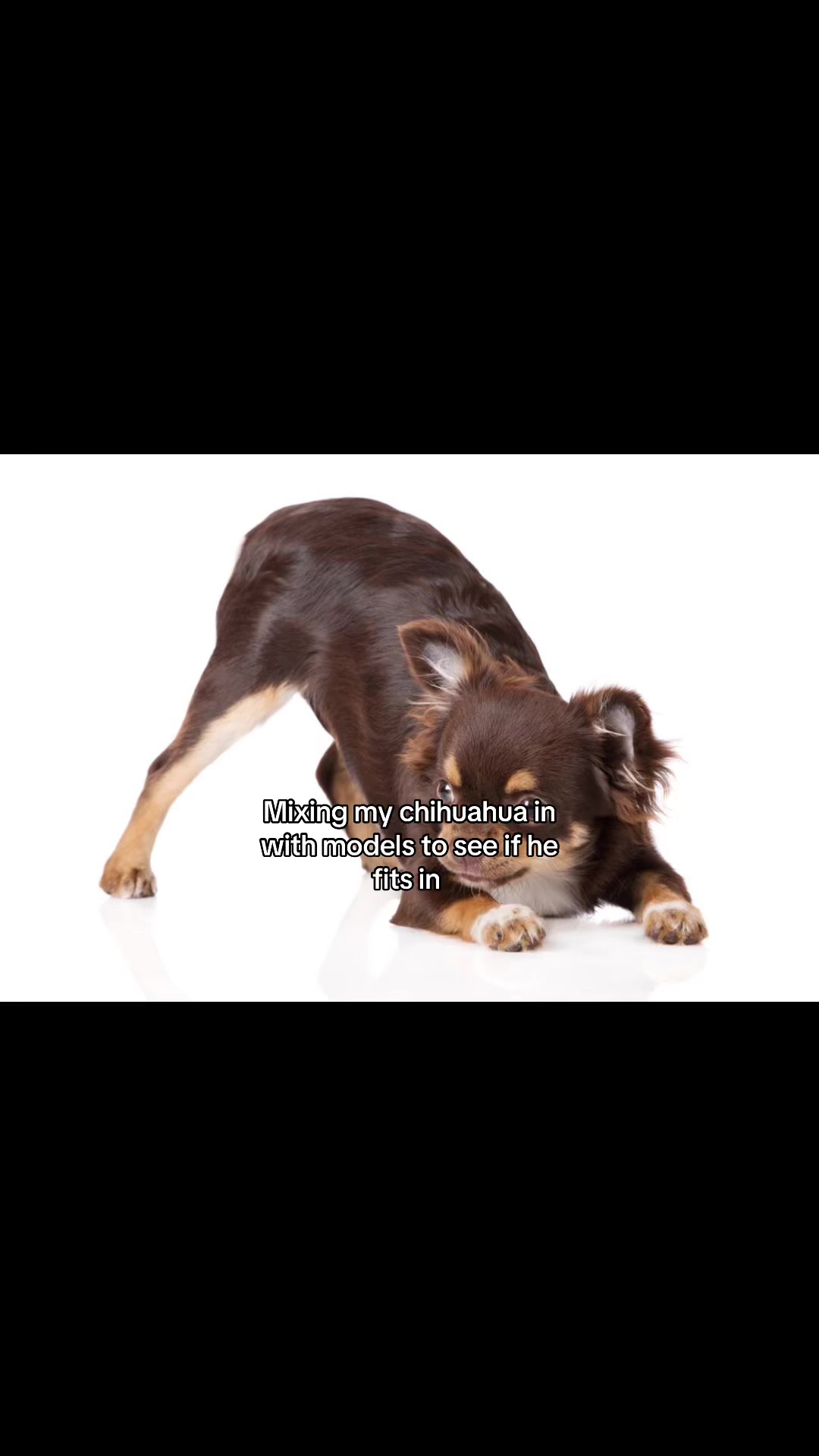 @ẞřøøķẽ