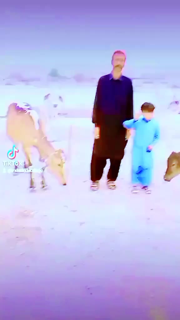 @vxhxbxbkxbcjc
