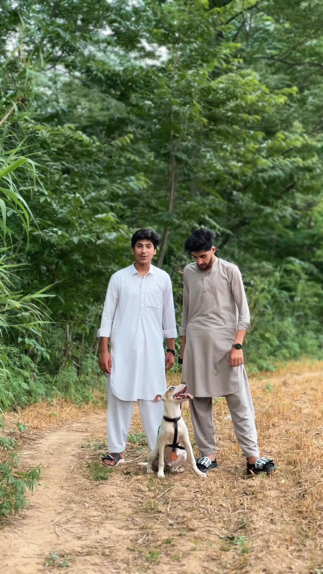 @Abdullah sikander