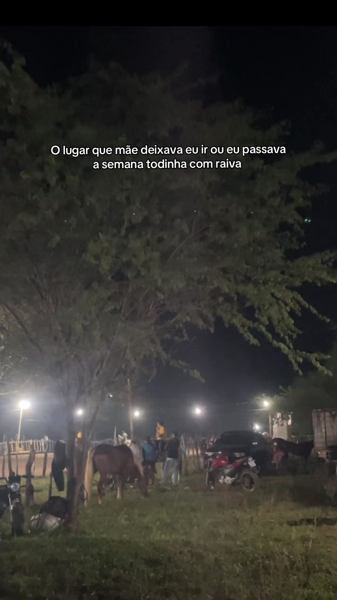 @sasa 🌟