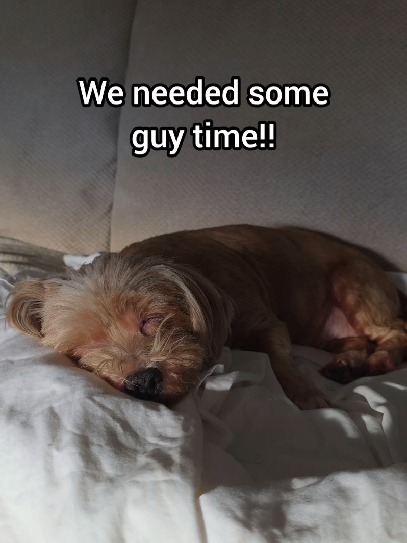 @BuddyandMikes Pal