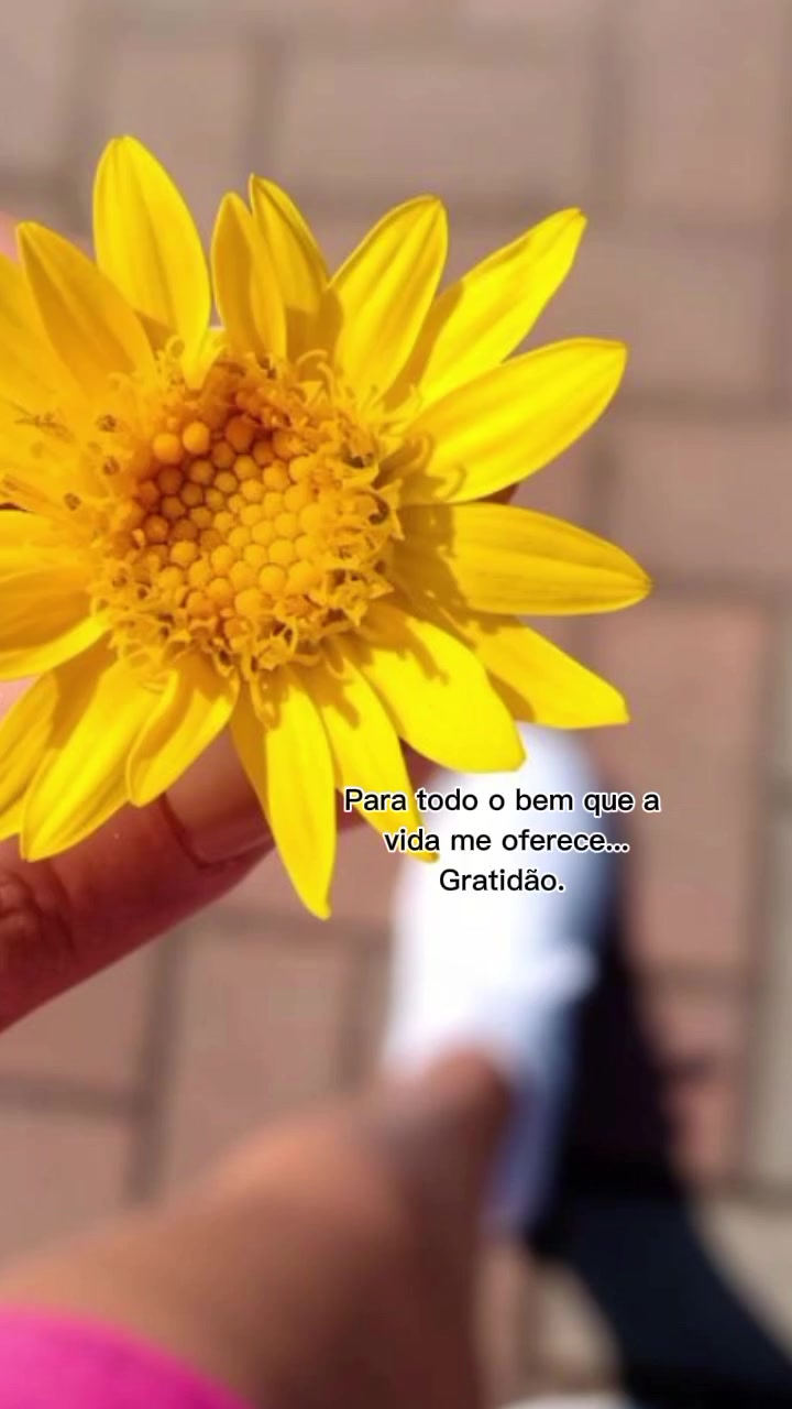 @Giovana Duarte✨