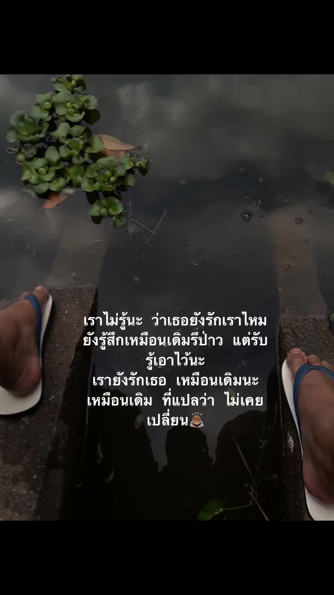 @เธรดของหมีพู🐻(11.7k)