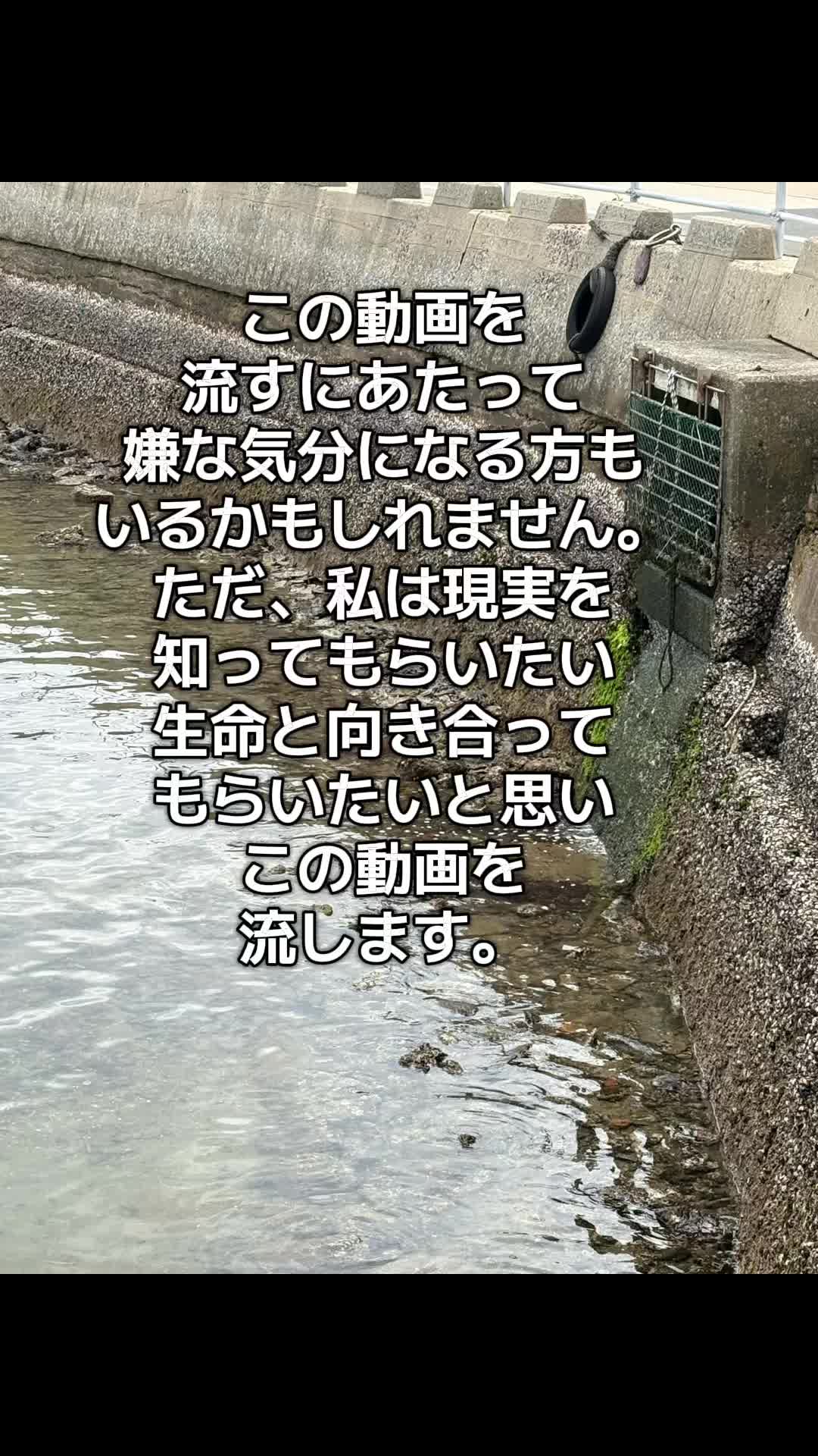 @ブルースカイの倫