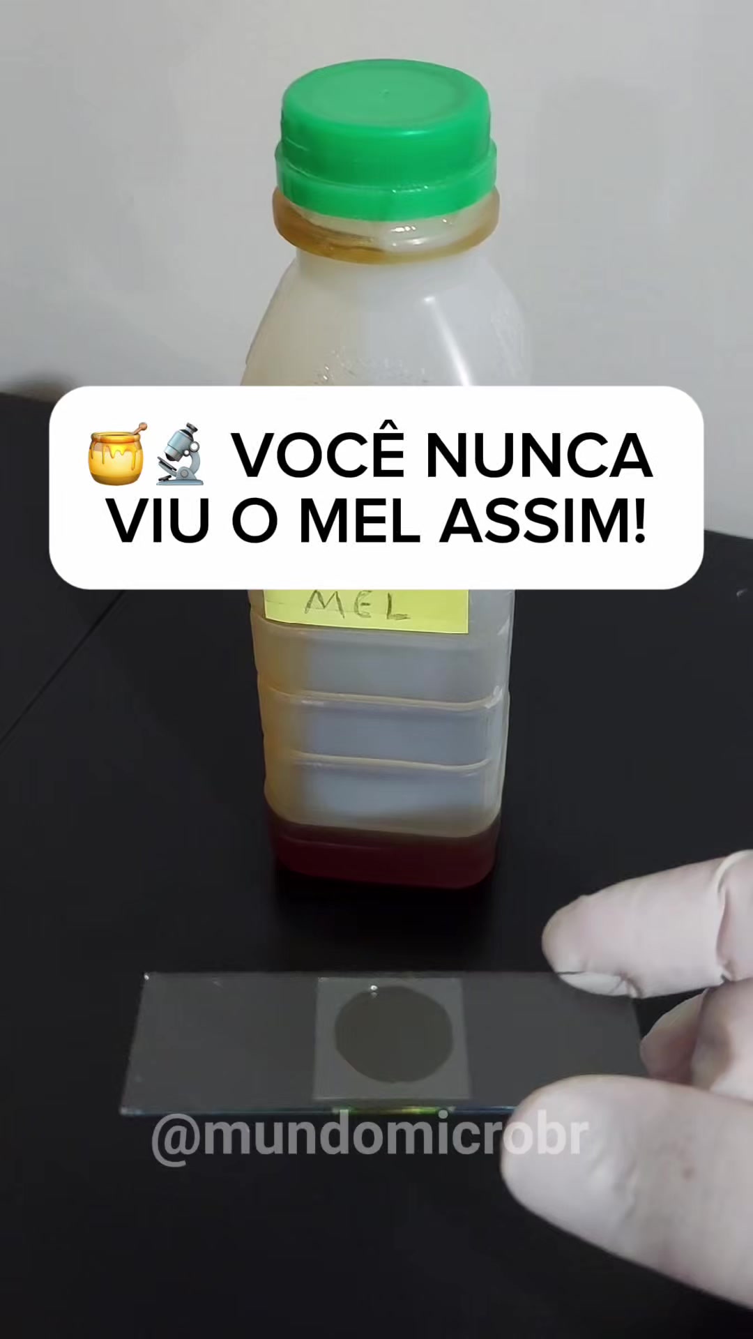 @mundomicrobr