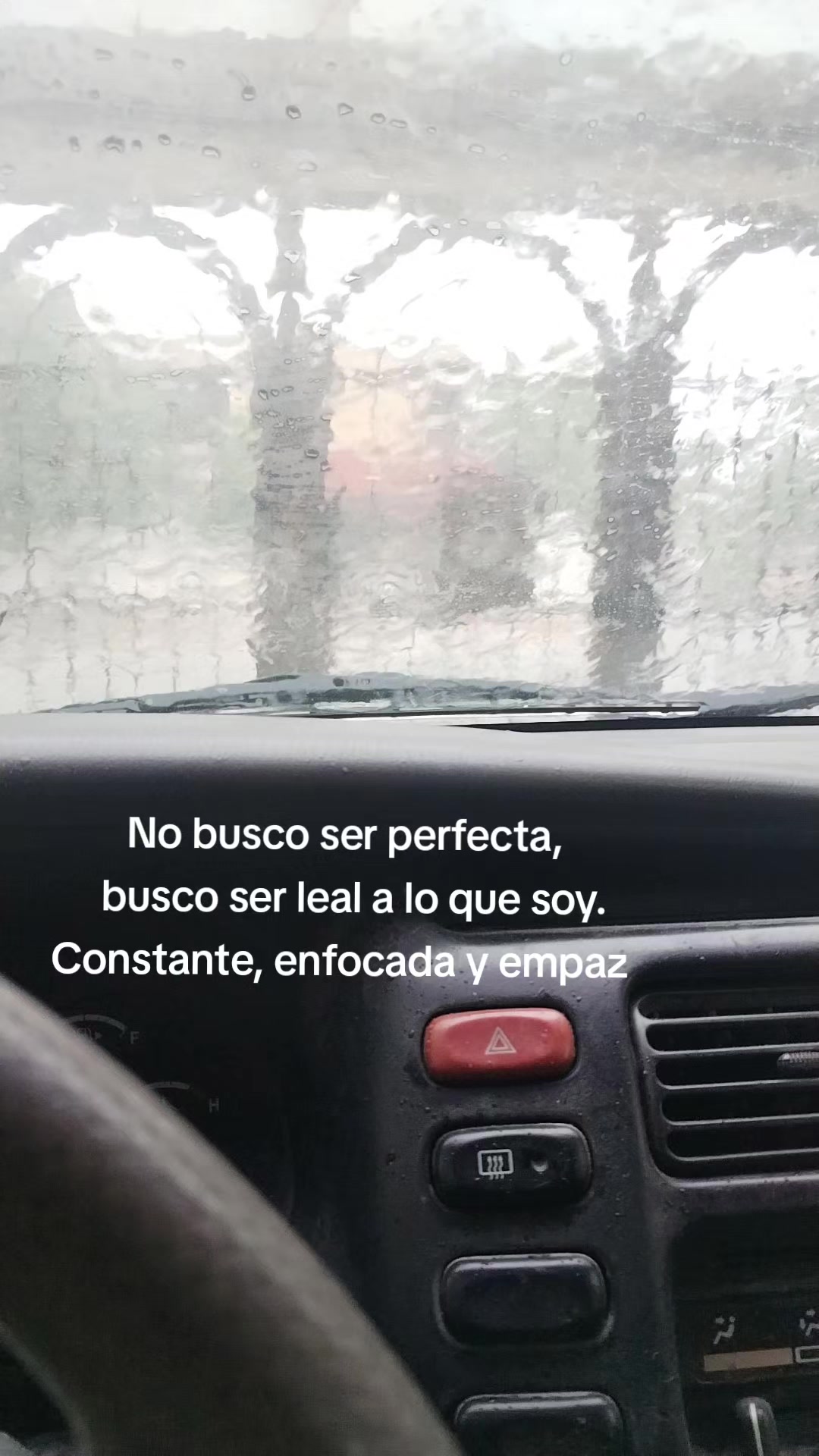 @Yara Centeno