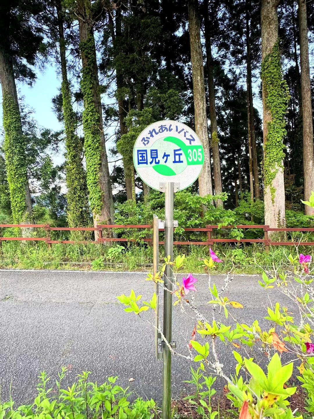 @パンダあねご🇯🇵🐼