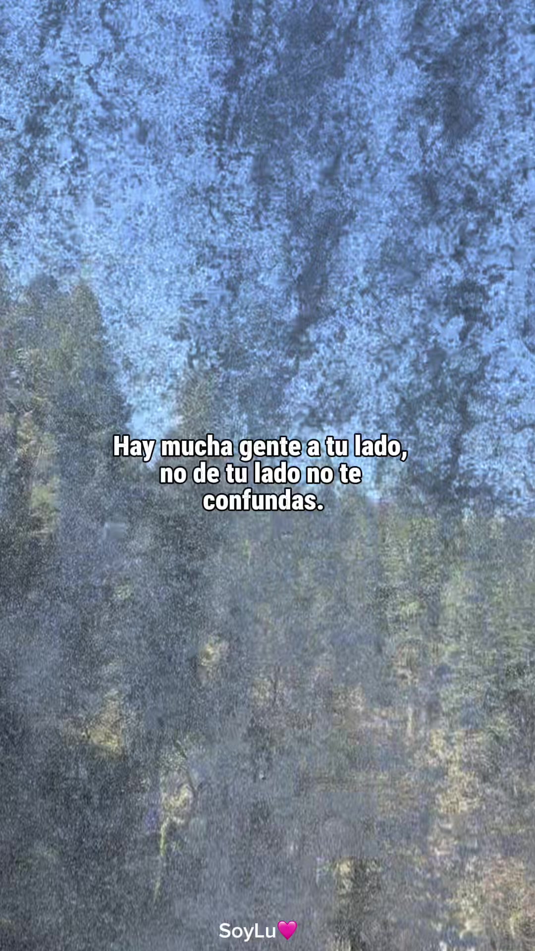 @Soy Lu
